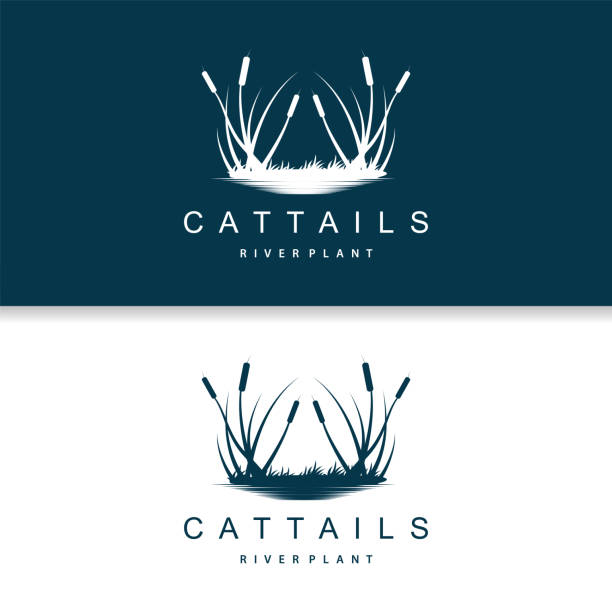 illustrations, cliparts, dessins animés et icônes de ruisseau et logo de la rivière cattail, conception d’herbe minimaliste simple pour la marque d’entreprise - mountain nature abstract forest swamp