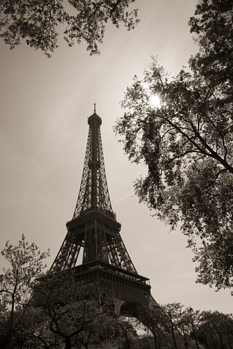 Eiffel Tower view from the streets, Paris, France. Black and white photo
