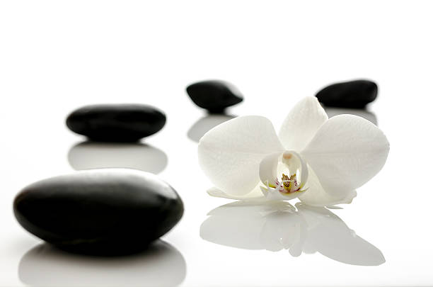 istock White orchid with spa stones 177774746
