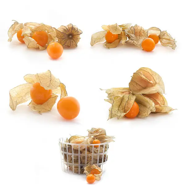 collection of Physalis isolated on white