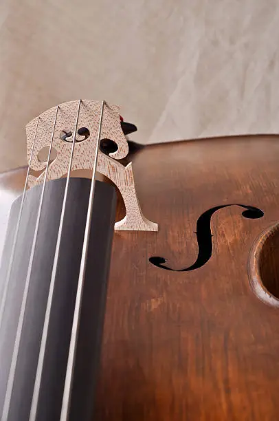 Photo of Detail of a violoncello isolated on beige background