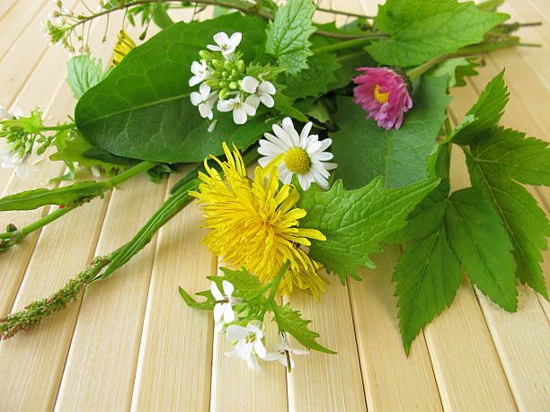 istock Bouquet of wild herbs 177775508