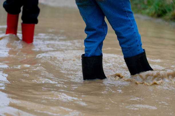 istock Children's wellies in a puddle 1777765890