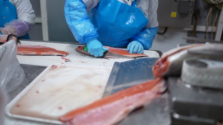 slicing a fillet of salmon