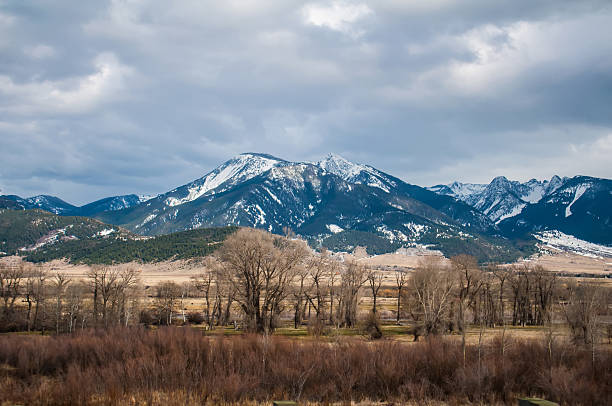 istock rocky mountains in montana 177777347