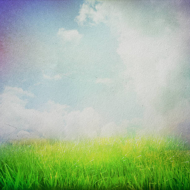 istock vintage retro nature texture background 177777612