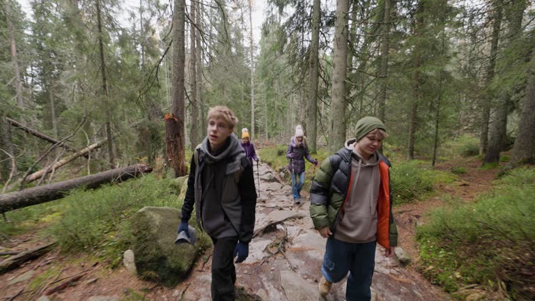 Family hiking in the forest in High Tatra Mountains, Slovakia on an autumn day