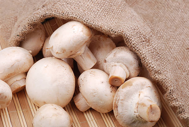 istock Fresh field mushrooms on a textile 177778679