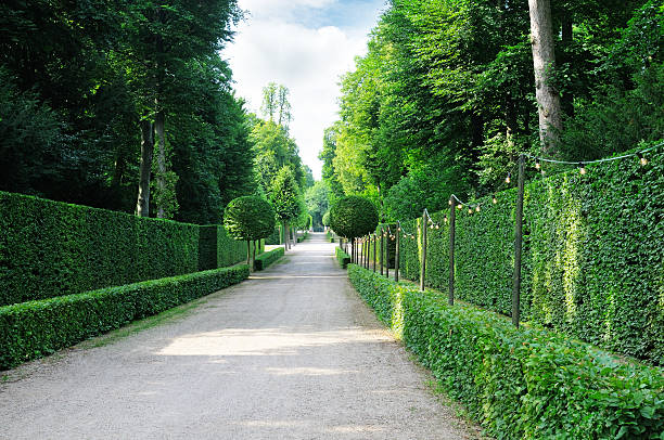 istock alley in the park 177778686