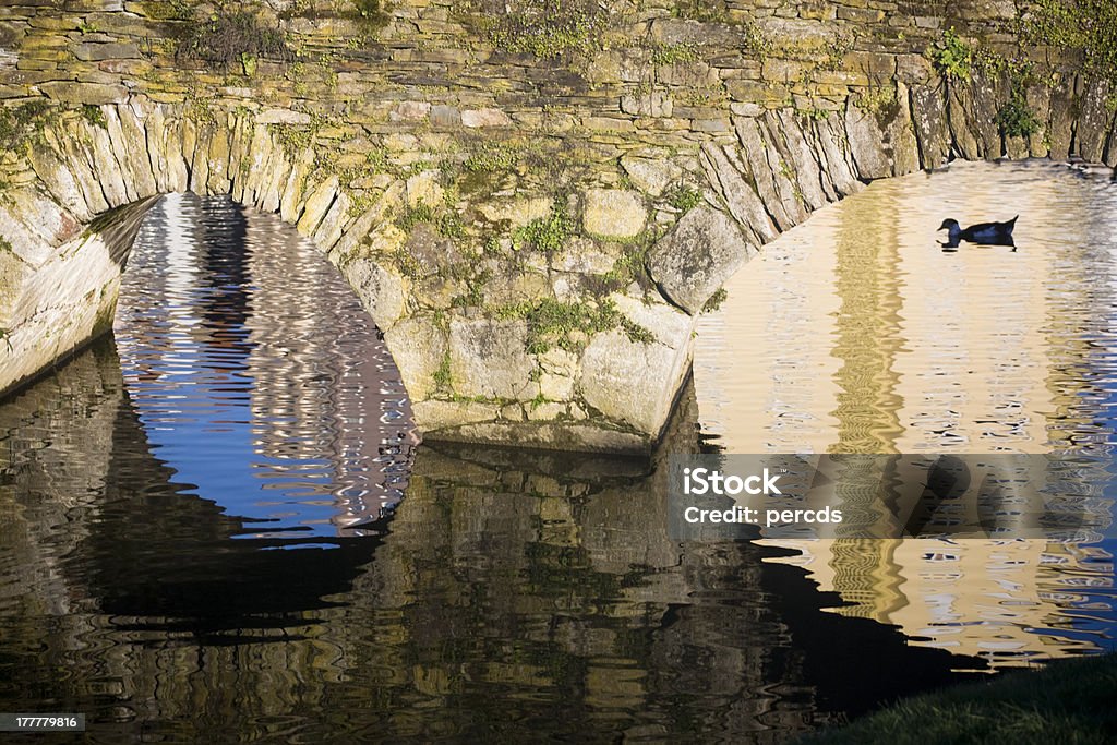 Старый мост и silhouetted duck - Стоковые фото Арка - архитектурный элемент роялти-фри