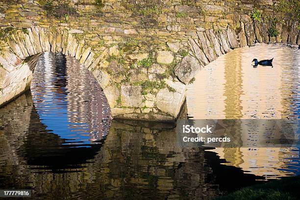 Старый Мост И Silhouetted Duck — стоковые фотографии и другие картинки Арка - архитектурный элемент - Арка - архитектурный элемент, Арочный мост, Без людей