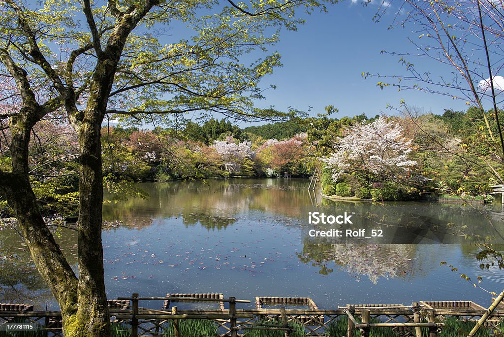 Printemps au Japon-jardin du temple au début du mois d'avril - Photo de Ryōan-ji libre de droits