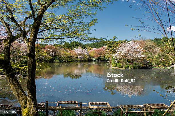 Photo libre de droit de Printemps Au Japonjardin Du Temple Au Début Du Mois Davril banque d'images et plus d'images libres de droit de Ryōan-ji