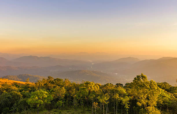 cardamomo hills e de periyar santuário de vida selvagem, kerala, índia. - international landmark sunny lake sky - fotografias e filmes do acervo