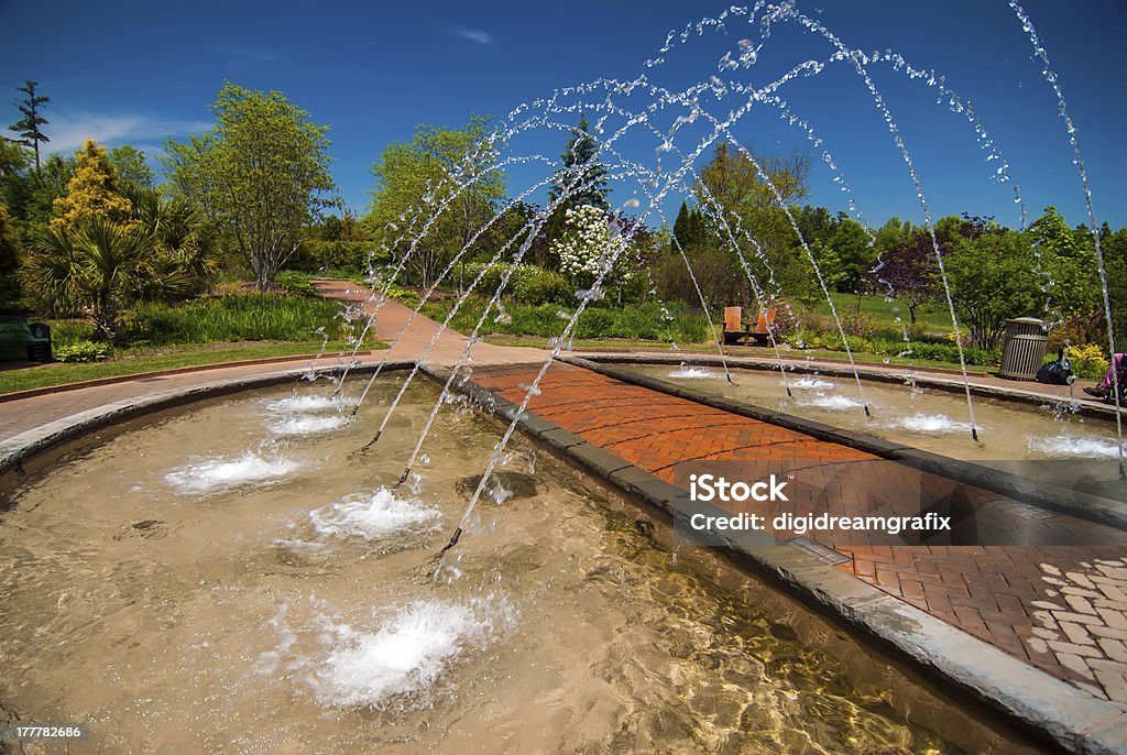 Fontana nel giardino botanico - Foto stock royalty-free di Albero