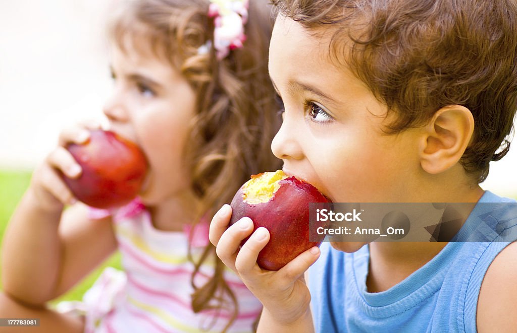 Happy children eating apple Photo of two happy children eating apples, brother and sister having picnic outdoors, cheerful kids biting red ripe peach, adorable infant holding fresh fruits in hands, healthy nutrition concept Apple - Fruit Stock Photo