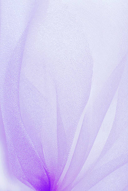 violet organza textura de tecido - dimity - fotografias e filmes do acervo