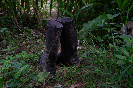 a pair of boots worn by gardening farmers.