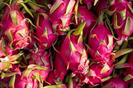 Pile of dragon fruit background. Pile of tropical dragon fruit or pitaya for sale at local farmer's market. healthy and low calorie for diet concept