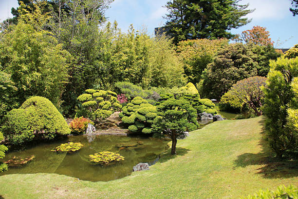 istock Beautiful Japanese Garden 177785519