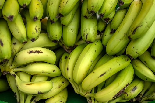 Green banana fruits in the market