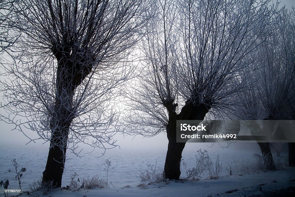 Paysage hivernal - Photo de Froid libre de droits