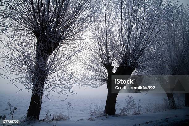 Photo libre de droit de Paysage Hivernal banque d'images et plus d'images libres de droit de Froid - Froid, Février, Gelée blanche