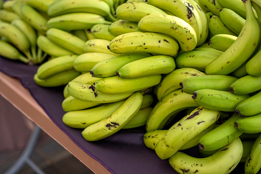 istock Banana fruits 1777857512