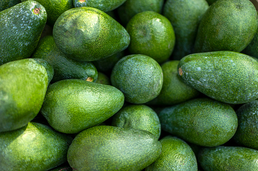 Green avocado fruits in the market