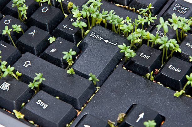 istock Keyboard with garden cress 177786309
