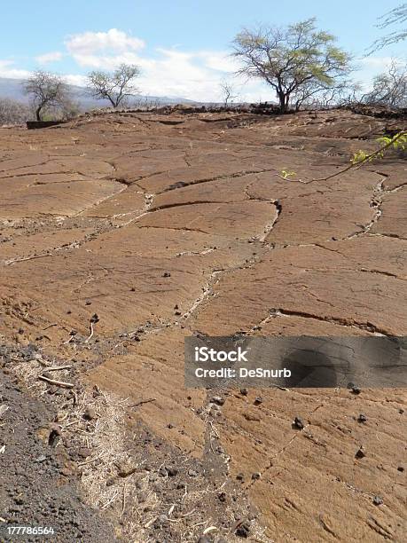 Campo De Lava Con Esculturas En Hawai Foto de stock y más banco de imágenes de Aire libre - Aire libre, Antiguo, Arte