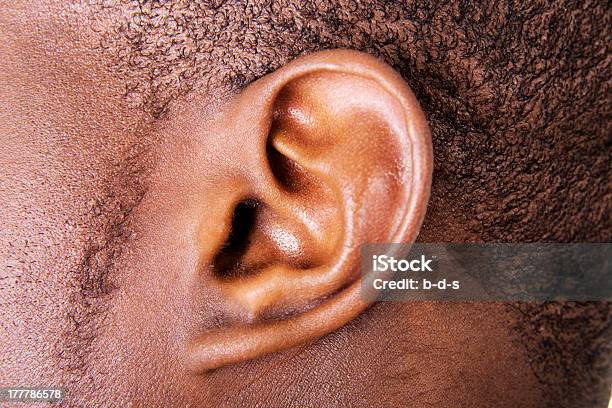 Ear Stockfoto und mehr Bilder von Ohr - Ohr, Nahaufnahme, Männer