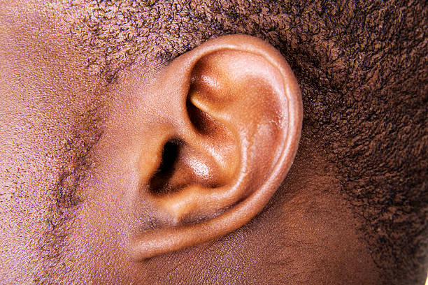 Ear stock photo