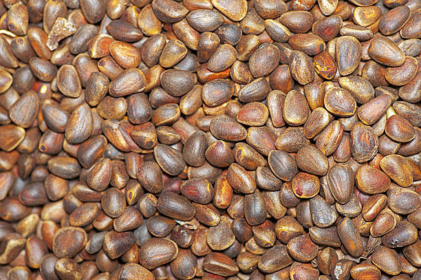 piñones - food bread groceries basket fotografías e imágenes de stock