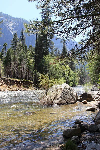 istock Beautiful Landscapes in yosemite 177786833