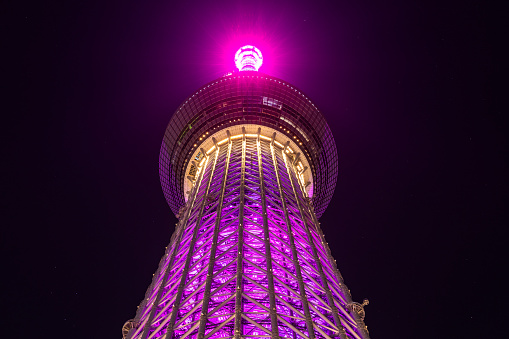 A night view of the impressive Tokyo Sky Tree from the base.