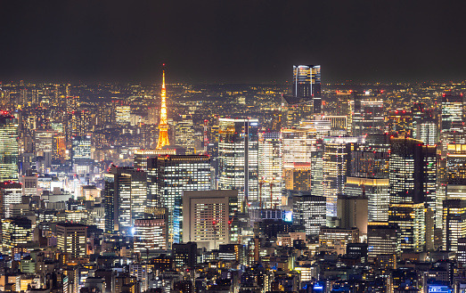 A high vantage point view of Tokyo City at night with Tokyo Tower in the distance.