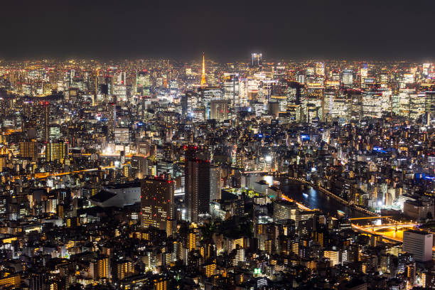 A high vantage point view of Tokyo City at night with Tokyo Tower in the distance.