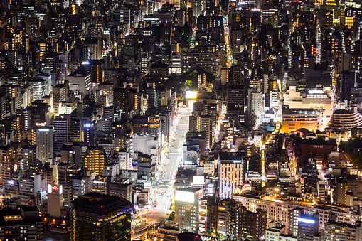 A high vantage point view of Tokyo City at night.