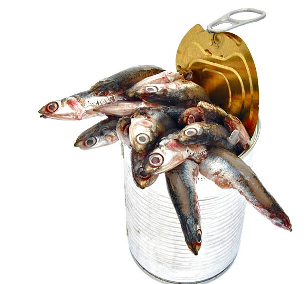Container with anchovies