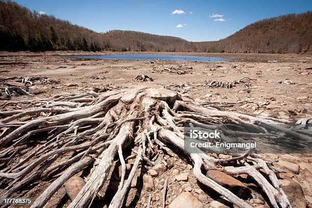 Driftwood Por Um Lago - Fotografias de stock e mais imagens de Antigo - Antigo, Ao Ar Livre, Apodrecer