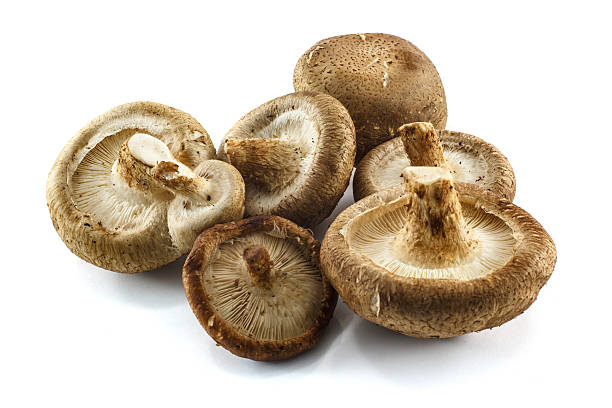 istock fresh mushroom champignon isolated on white background 177788425