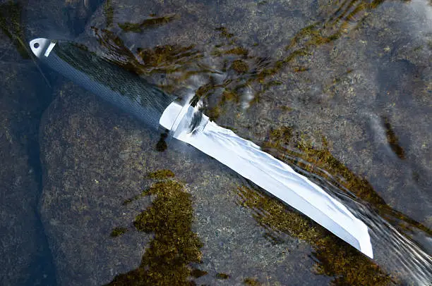 Tanto knife in water