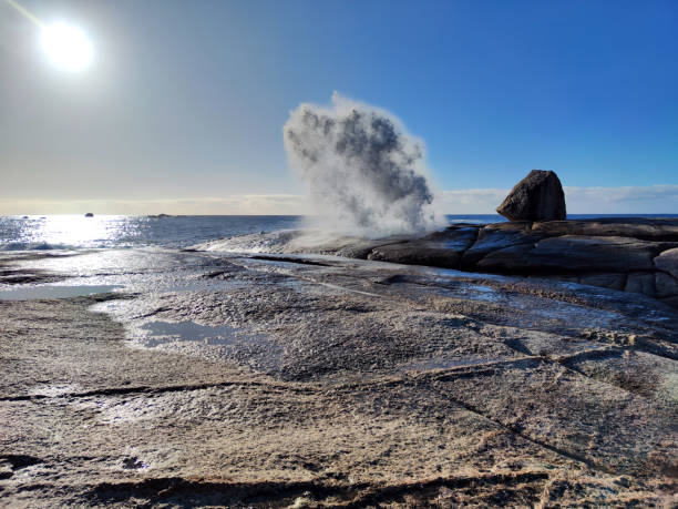 istock Bicheno blowhole, Tasmania 1777890819