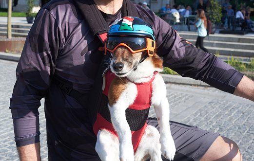 Cute Dog on a Bicycle with Helmet and Goggles in the city of Bergamo - Lombardy - October 2023