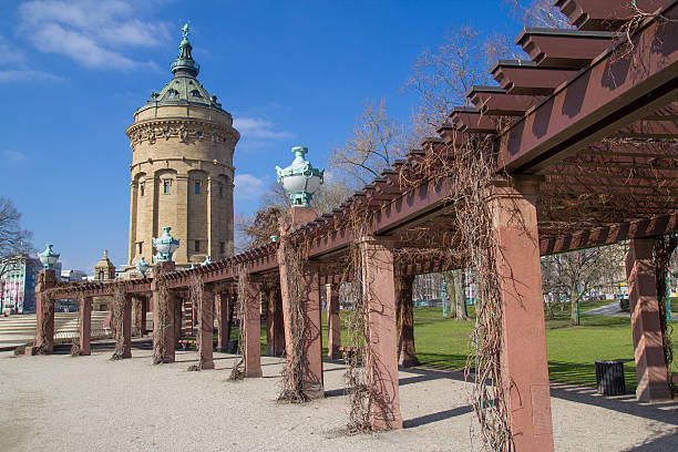 mannheim alemanha - germany reservoir water tree imagens e fotografias de stock