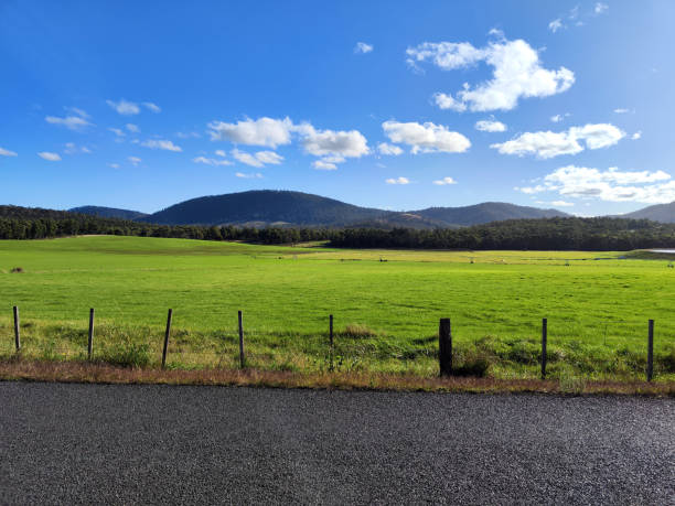 istock Green meadow landscape, Tasmania 1777898949