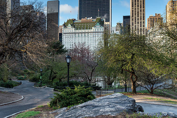 istock Central Park, New York City 177790281
