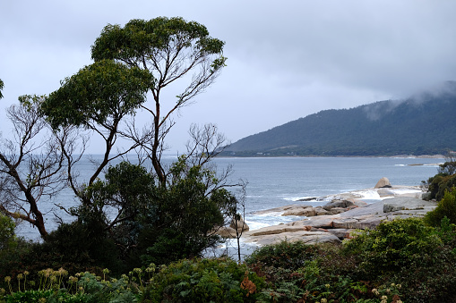 Rocky coastline in Bicheno, a small town in Tasmania, Australia.