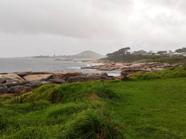 Rocky coastline in Bicheno, a small town in Tasmania, Australia.